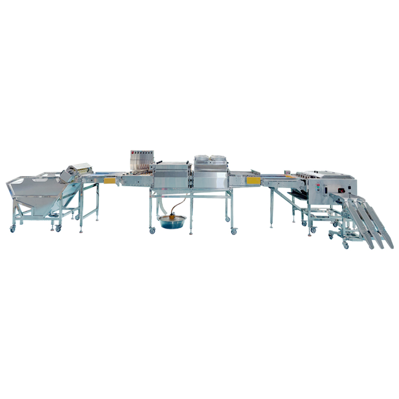 四排蛋品处理组合生产线 四排蛋品处理组合生产线