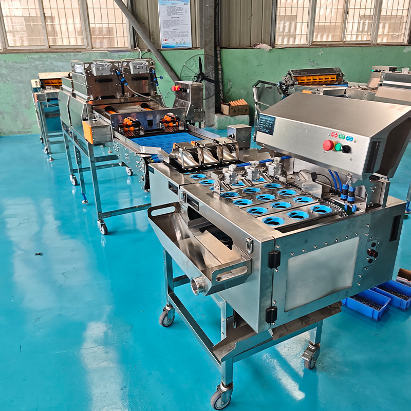 双轨三排清洗烘干杀菌光检敲蛋生产线