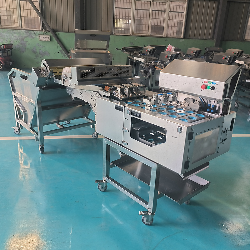 水洗上蛋加三排敲蛋机