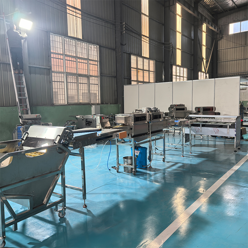 鸡蛋清洗烘干杀菌光检分级生产线