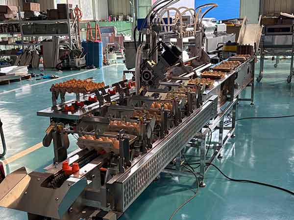 托装蛋打码装盒机 托装蛋打码装盒机