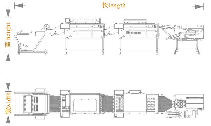 上蛋+洗蛋+烘干+双排敲蛋机组合生产线<长宽高>尺寸图